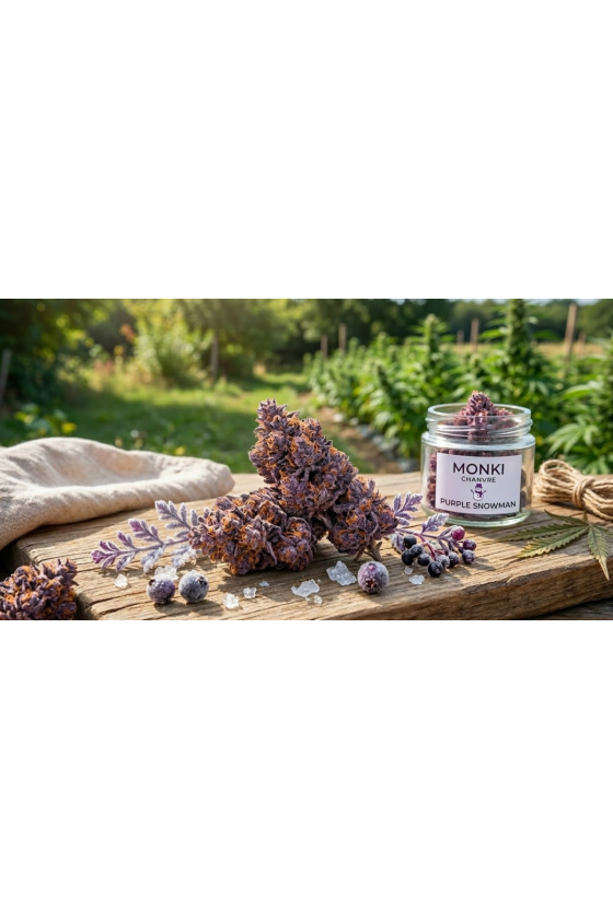 Fleur de CBD Purple Snowman...